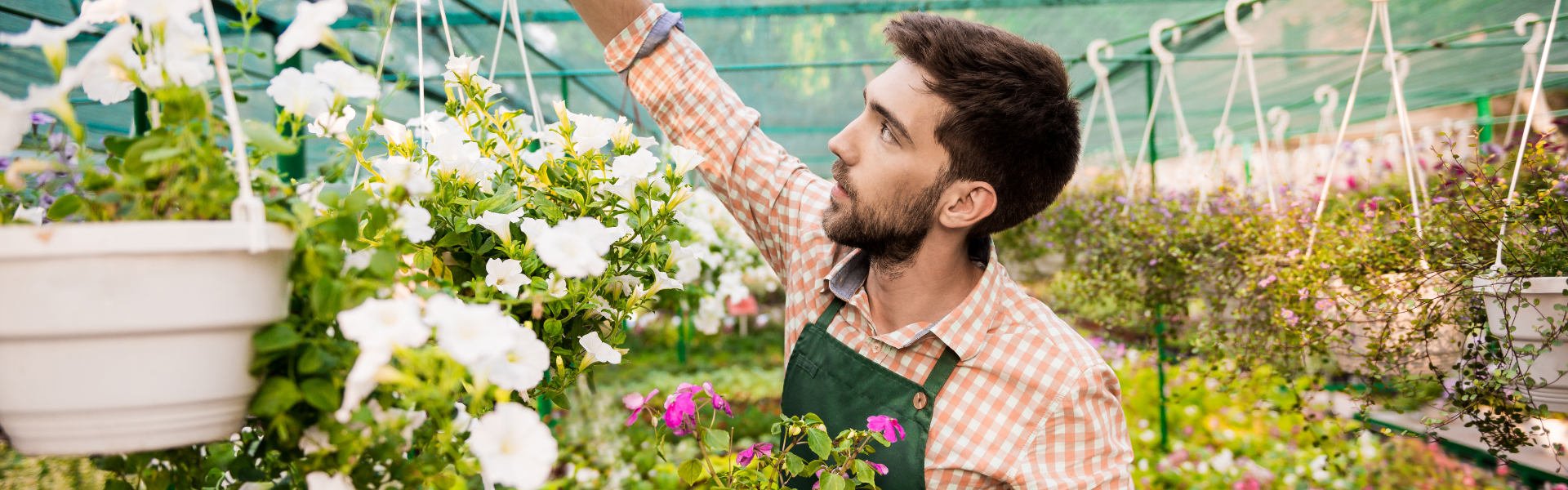 How to Find Good Garden Supplies for you?